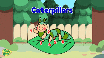 Butterfly Caterpillars GIF