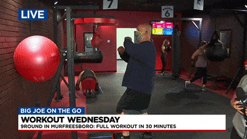 Big Joe GIF by WSMV  News 4, Nashville