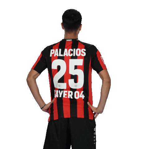 I Want You Pointing Sticker by Bayer 04 Leverkusen