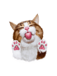 Rexiecat cat cats kitty kitten Sticker
