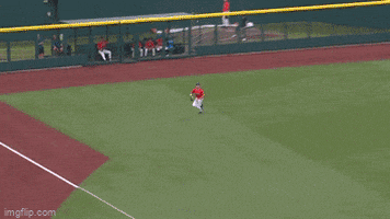 Ole Miss Baseball GIF by NCAA Championships