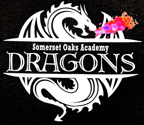 SomersetOaksAcademy soadragons soa dragon GIF