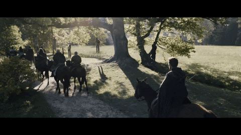 Horseback Riding Horse GIF by VVS FILMS