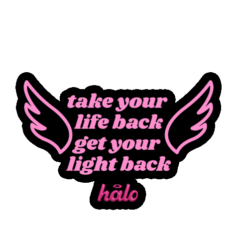 halovenice halo halohouse halovenice Sticker
