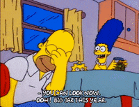 Season 1 GIF by The Simpsons