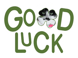 Cat Good Luck Sticker
