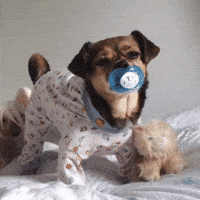tired good night GIF