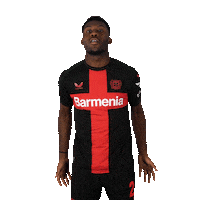 Excited Lets Go Sticker by Bayer 04 Leverkusen
