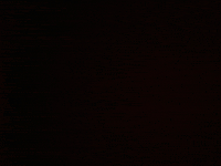 Fashion Shopping GIF by Drop Dead Couture