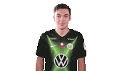 E Sports Sport Sticker by VfL Wolfsburg