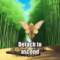 GIF by BuddhaFlyJourney