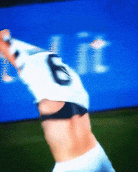 Celebrate Serie A GIF by Ascoli Calcio 1898