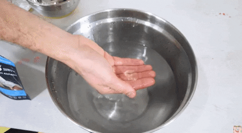 yj_jane giphygifmaker GIF