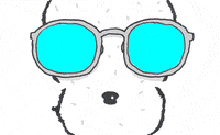 Heart Summer GIF by Chippy the Dog