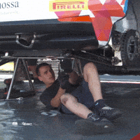 Service Erc GIF by FIA European Rally Championship