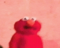 What The Hell Stare GIF