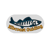 Zander Sticker by Elbcoast Guiding