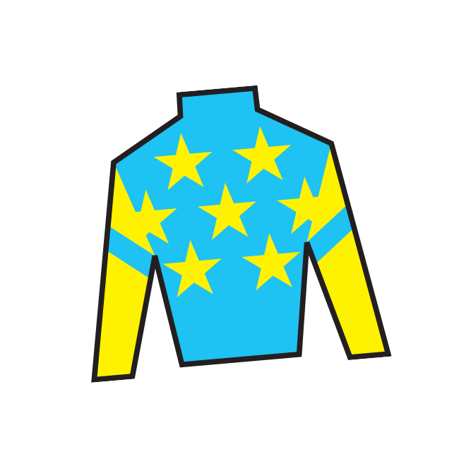 Sport Silk Sticker by Kentucky Derby