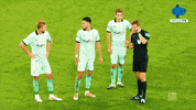 Germany Bundesliga GIF by MolaTV