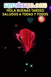 Musica Baile GIF by Murcianys LLC