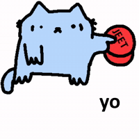 Spainnubcat GIF
