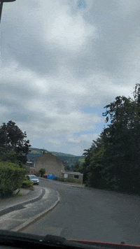 GIF by Stella 52