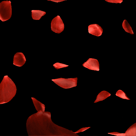 Güller GIF by Kanal D