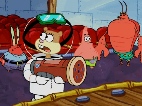 season 4 GIF by SpongeBob SquarePants