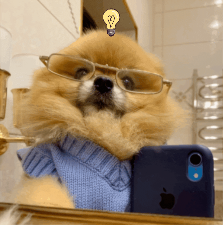 pom_kori giphygifmaker giphyattribution dog selfie GIF