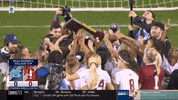 gostanford  GIF