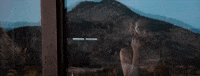 elley duhe ghosting GIF by Zedd