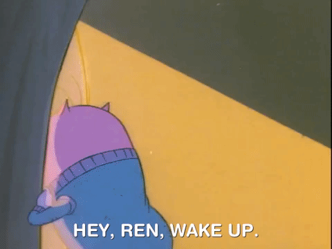 ren and stimpy nicksplat GIF