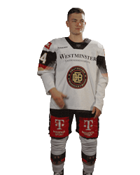 Wo Ist Ice Hockey Sticker by deb_teams