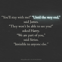 BloomsburyBooks harrypotter20 GIF