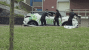 Happy Dance GIF by https://www.sharryup.com/
