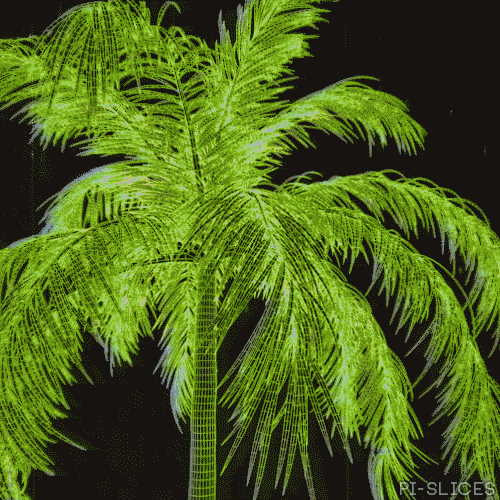 palm tree GIF by Pi-Slices