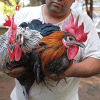 Friends Wow GIF by TRT