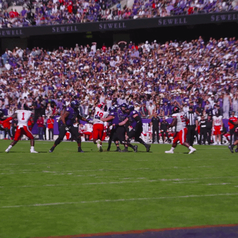 Touchdown Davis GIF by TCU Football