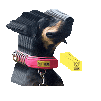 Perros Sticker by VOLPS