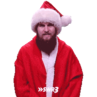 Excited Merry Christmas Sticker by SWR3