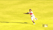 Major League Baseball Sport GIF by MLB