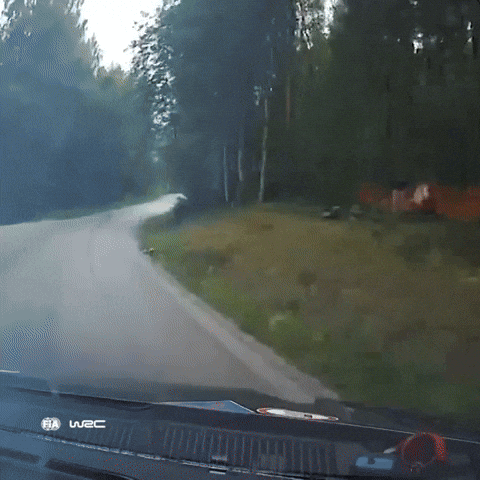Rally Finland Luck GIF by FIA World Rally Championship