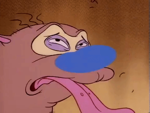 ren and stimpy nicksplat GIF