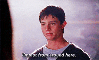 neveranennecastiglione giphyupload GIF