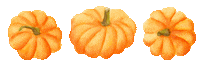 Fall Season Orange Sticker by Dallas Farmers Market