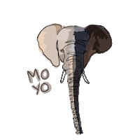 Elephant Moyo Sticker by Thoiry ZooSafari