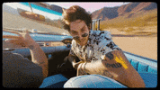 Katastro alternative reggae sucker fearandloathing GIF