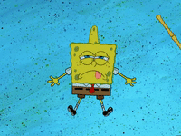 season 5 GIF by SpongeBob SquarePants