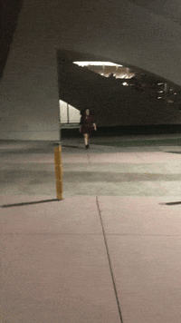 San Diego Twitch GIF