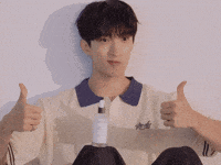 Dk 세븐틴 GIF